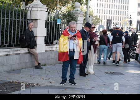 Manifestanti bandiere spagnole durante una manifestazione per protestare contro il governo al potere e per chiedere elezioni generali, a Madrid il 20 ottobre Foto Stock