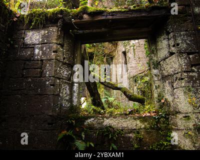 Le rovine del castello di Buchanan, Scozia, Regno Unito Foto Stock