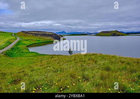 Islanda, regione Nordurland Eystra, Skutustadir, paesaggio vulcanico sul lago Myvatn Foto Stock