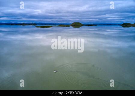 Islanda, regione Nordurland Eystra, Skutustadir, paesaggio vulcanico sul lago Myvatn, vista aerea Foto Stock