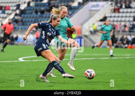 Linkoping, Svezia. 20 ottobre 2024. Bilborsen Arena, Linkoping, Svezia, 20 ottobre 2024: Irene Dirdal (14 Linkoping FC) e Hlin Eiriksdottir (11 Kristianstad) nella partita della Lega svedese OBOS Damallsvenskan il 20 ottobre 2024 tra Linkoping FC e Kristianstads DFF alla Bilborsen Arena di Linkoping, Svezia (Peter Sonander/SPP) crediti: SPP Sport Press Photo. /Alamy Live News Foto Stock