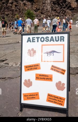 Un segno per un dinosauro aetosauro ha fatti per i visitatori. La cava di roccia con impronte di dinosauri dell'era Triassica apre per un fine settimana all'anno ai visitatori. TH Foto Stock