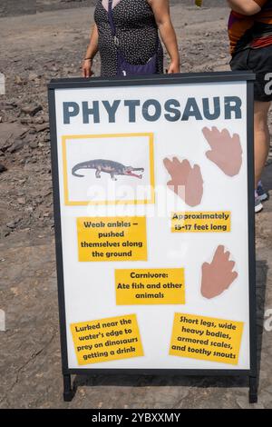 Un segnale per un dinosauro fitosauro ha fatti per i visitatori. La cava di roccia con impronte di dinosauri dell'era Triassica apre per un fine settimana all'anno ai visitatori. T Foto Stock