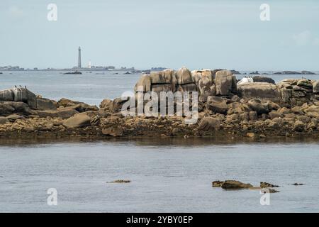 Vista da Pointe de Neiz Vran verso il faro Phare de l'Île Vierge, Finistère, Francia Foto Stock