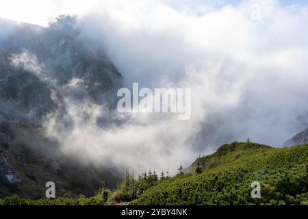 Maestoso paesaggio montano ricoperto da fitta nebbia con scogliere rocciose e cespugli di pini verdi al mattino nebbioso. Foto Stock