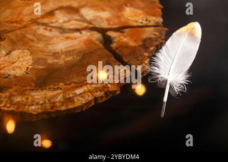 Un elegante tavolo rotondo che mostra uno splendido piano in legno pietrificato, elegantemente esposto su un caldo sfondo in legno, perfetto per interni moderni Foto Stock