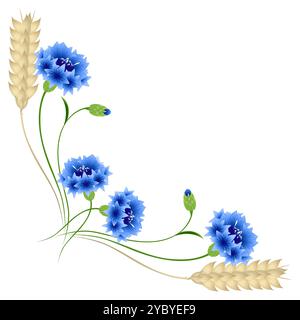 Angolo con fiori di mais blu e orecchie di grano su sfondo bianco. Illustrazione Vettoriale