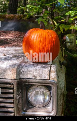 Vista frontale di un pick-up abbandonato nella foresta con una zucca sul cofano Foto Stock