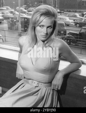 La bellissima attrice svizzera URSULA ANDRESS al Dorchester Hotel di Londra nel 1964. È stata a Londra per le riprese del romanzo H. RIDER HAGGARD Music del 1965 diretto da ROBERT, JAMES BERNARD, produttore MICHAEL CARRERAS Hammer-Seven Arts / Warner-Pathe / Associated British Foto Stock