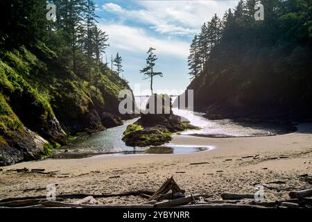 Deadman's Cove è una spiaggia unica nel Cape Disappointment State Park, Ilwaco, Washington Foto Stock