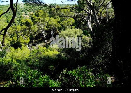 La miniera abbandonata di Monte Onixeddu, a Gonnesa, Sulcis Iglesiente, Arbus, provincia del sud Sardegna, Italia Foto Stock