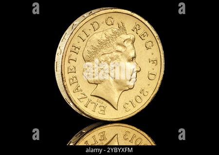 2013 una moneta da una sterlina con il quarto ritratto in moneta della regina Elisabetta II di Ian Rank Broadley. Parte di un set di 4 emblemi floreali. Foto Stock