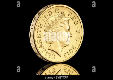 2013 una moneta da una sterlina con il quarto ritratto in moneta della regina Elisabetta II di Ian Rank Broadley. Parte di un set di 4 emblemi floreali. Foto Stock