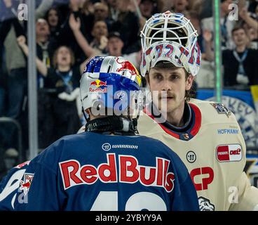 Leon Hungerecker (Torwart, Nuernberg Ice Tigers, n. 72) beim Shakehands mit Yasin Ehliz (EHC Red Bull Muenchen, n. 42). GER, EHC Red Bull Muenchen gegen Nuernberg Ice Tigers, Eishockey, DEL, 11. Spieltag, Saison 2024/2025, 20.10.2024. Foto: Eibner-Pressefoto/Heike Feiner Foto Stock