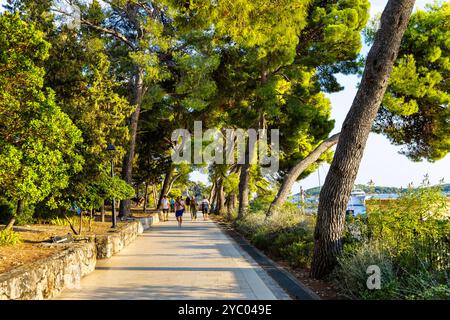 Passeggiata sul lungomare attraverso il Parco di Hvar che conduce al centro di Hvar, all'isola di Hvar, Croazia Foto Stock