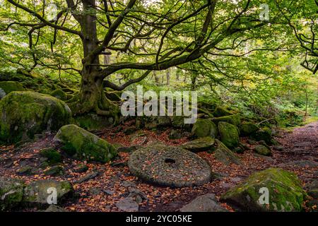 Gola di Padley all'inizio dell'autunno Foto Stock