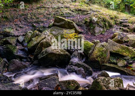 Gola di Padley all'inizio dell'autunno Foto Stock
