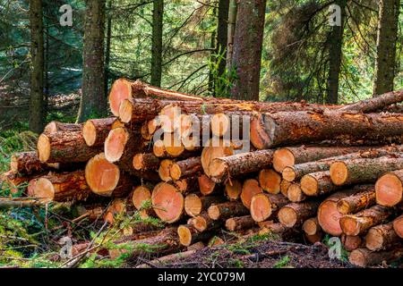 Deforestazione nel Peak District Foto Stock