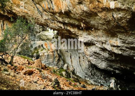 L'esuberante scenario naturale del Supramonte di Orgosolo che ospita la dolina di Tiscali con il villaggio post-nuragico, Orgosolo, Nuoro, Sardegna Foto Stock