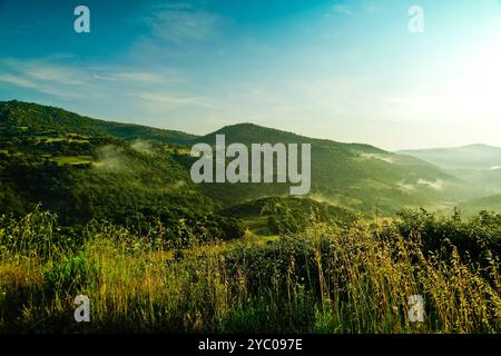 L'esuberante scenario naturale del Supramonte di Orgosolo che ospita la dolina di Tiscali con il villaggio post-nuragico, Orgosolo, Nuoro, Sardegna Foto Stock