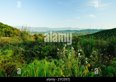 L'esuberante scenario naturale del Supramonte di Orgosolo che ospita la dolina di Tiscali con il villaggio post-nuragico, Orgosolo, Nuoro, Sardegna Foto Stock