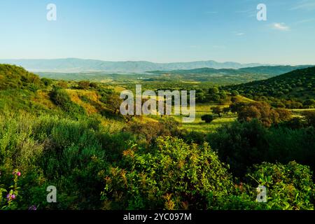 L'esuberante scenario naturale del Supramonte di Orgosolo che ospita la dolina di Tiscali con il villaggio post-nuragico, Orgosolo, Nuoro, Sardegna Foto Stock