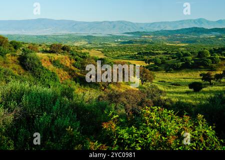 L'esuberante scenario naturale del Supramonte di Orgosolo che ospita la dolina di Tiscali con il villaggio post-nuragico, Orgosolo, Nuoro, Sardegna Foto Stock