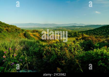 L'esuberante scenario naturale del Supramonte di Orgosolo che ospita la dolina di Tiscali con il villaggio post-nuragico, Orgosolo, Nuoro, Sardegna Foto Stock