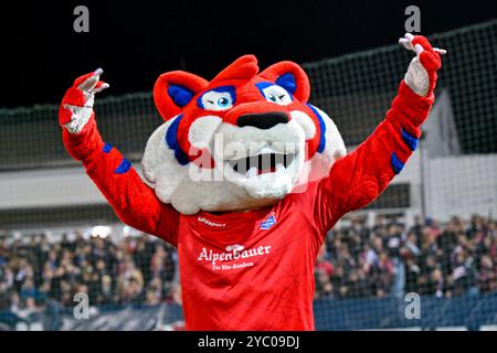 Unterhaching, Deutschland. 20 ottobre 2024. Maskottchen Fonsi feuert Die Unterhachinger fans An, 20.10.2024, Unterhaching (Deutschland), Fussball, 3. LIGA, SPVGG UNTERHACHING - TSV 1860 MÜNCHEN, LE NORMATIVE DFB/DFL VIETANO QUALSIASI USO DI FOTOGRAFIE COME SEQUENZE DI IMMAGINI E/O QUASI-VIDEO. Credito: dpa/Alamy Live News Foto Stock