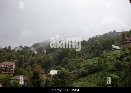 Vista panoramica delle piantagioni di tè di Cayeli, Rize, Turchia: Lussureggianti colline verdi e case tradizionali in un paesaggio rurale turco Foto Stock