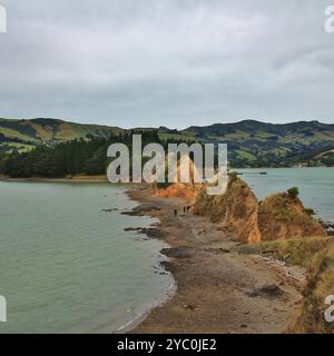 Vista da Onawe, penisola di Banks, nuova Zelanda. Foto Stock