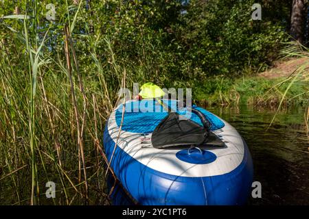 splendido paesaggio estivo con un lago, paddle board nel lago, piante d'acqua selvatiche, estate Foto Stock