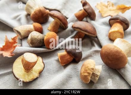 Diversi tipi di funghi sono accuratamente posizionati su un tessuto grigio insieme a foglie autunnali colorate, mettendo in risalto la taglia della natura durante la stagione autunnale Foto Stock