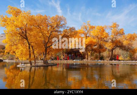 Pechino, Cina. 14 ottobre 2024. La gente visita il punto panoramico di Huyangxia nella contea autonoma di Aksay, nella provincia di Gansu, nella Cina nord-occidentale, 14 ottobre 2024. Credito: Ma Xiaowei/Xinhua/Alamy Live News Foto Stock