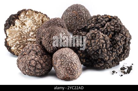 Perfetto tartufo estivo isolato su sfondo bianco. Primo piano. Foto Stock