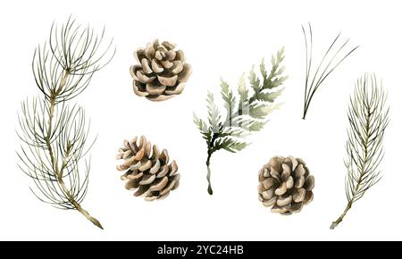 Rami di conifere e coni di pino. Set di abete rosso, pino, cedro, rami di abete e pinne. Illustrazione isolata con motivi floreali ad acquerello per Natale Foto Stock
