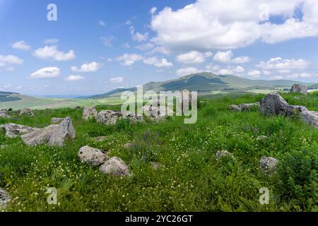 Enormi pietre tra erba verde sulla cima di una collina. Montagne, foresta, cielo blu sullo sfondo Foto Stock