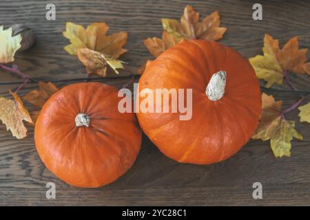 Due zucche arancioni su un rustico tavolo di legno marrone, circondate da vivaci foglie autunnali. Decorazioni autunnali per Halloween, il giorno del Ringraziamento Foto Stock