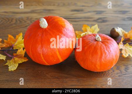 Due zucche arancioni con foglie autunnali colorate su sfondo marrone in legno, decorazioni autunnali per le vacanze. Elemento decorativo, tavolo per cene di gala Foto Stock