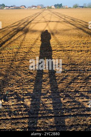 Le prime ombre in un campo a Lower Radley all'alba. La maggior parte dell'area circostante, fuori dal mio villaggio, Radley, nell'Oxfordshire, è composta da fattorie. Qui c'è un campo nella parte bassa del villaggio di Radley, più vicino al Tamigi, tagliato dall'ombra di un vicino pilone elettrico. La mia ombra guarda, retroilluminata alla prima luce. Foto Stock