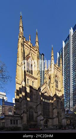 St. Andrew's Cathedral, una chiesa in stile neogotico a Sydney arenaria della facciata ovest degli anni '1800, con vetrate colorate e campanili Foto Stock