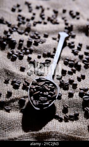 chicchi di caffè in cucchiaio di legno su fondo in tela Foto Stock