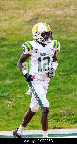 Edmonton, Canada. 19 ottobre 2024. I Golden Bears Chevy Thomas della University of Alberta festeggiano dopo un touchdown dei Golden Bears nel Canwest Football. University of Alberta Golden Bears 37 - 38 University of Manitoba Bisons crediti: SOPA Images Limited/Alamy Live News Foto Stock