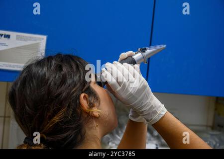 Dispositivo ottico per il controllo dei solidi totali e delle proteine nel plasma dal sangue estratto dalla gamba di un avvoltoio griffon eurasiatico ricoverato (Gyps Foto Stock