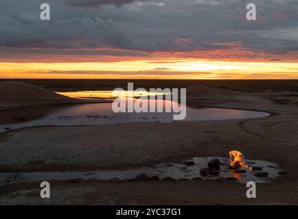 Bruciare gas metano a una fonte, Kalmykia Foto Stock