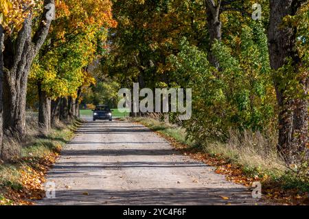 Un'auto percorre una strada sterrata delimitata da alberi con vivaci foglie autunnali. Foto Stock