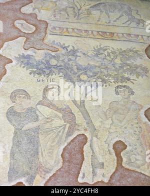 Haleplibahce mosaici della villa romana nel museo, Sanliurfa, Sud, Est, Turchia Foto Stock