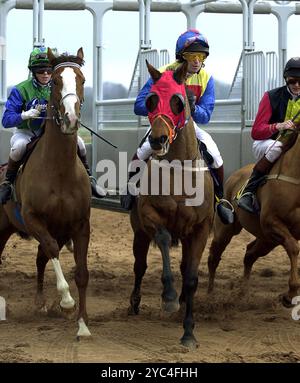 Il fantino amatoriale Gary Gibson iand; John Lennon assomiglia a lui; cavalcare Fancy a Fortune all'ippodromo di Dunstall Foto Stock