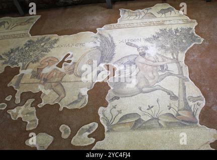 Haleplibahce mosaici della villa romana nel museo, Sanliurfa, Sud, Est, Turchia Foto Stock