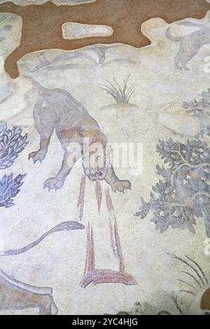 Haleplibahce mosaici della villa romana nel museo, Sanliurfa, Sud, Est, Turchia Foto Stock